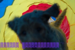 7WeeksJoryBanner47